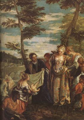 Paolo  Veronese The Finding of Moses (mk08) Norge oil painting art